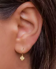 Boucles d'Oreilles Coquillage en Argent ou Plaqué Or – Élégance Marine